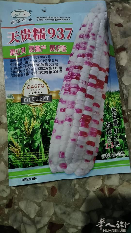 有菜种出售，需要的话联系我