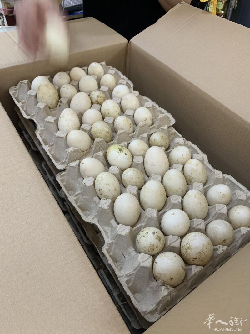 有需要水鸭蛋的吗?一箱200个80欧，必须一箱，散买勿扰，谢谢！联系电话3452196301