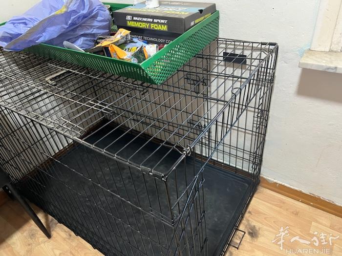 出售大型犬狗笼一个原价100 现在半价出售50 Prato firenze可送上