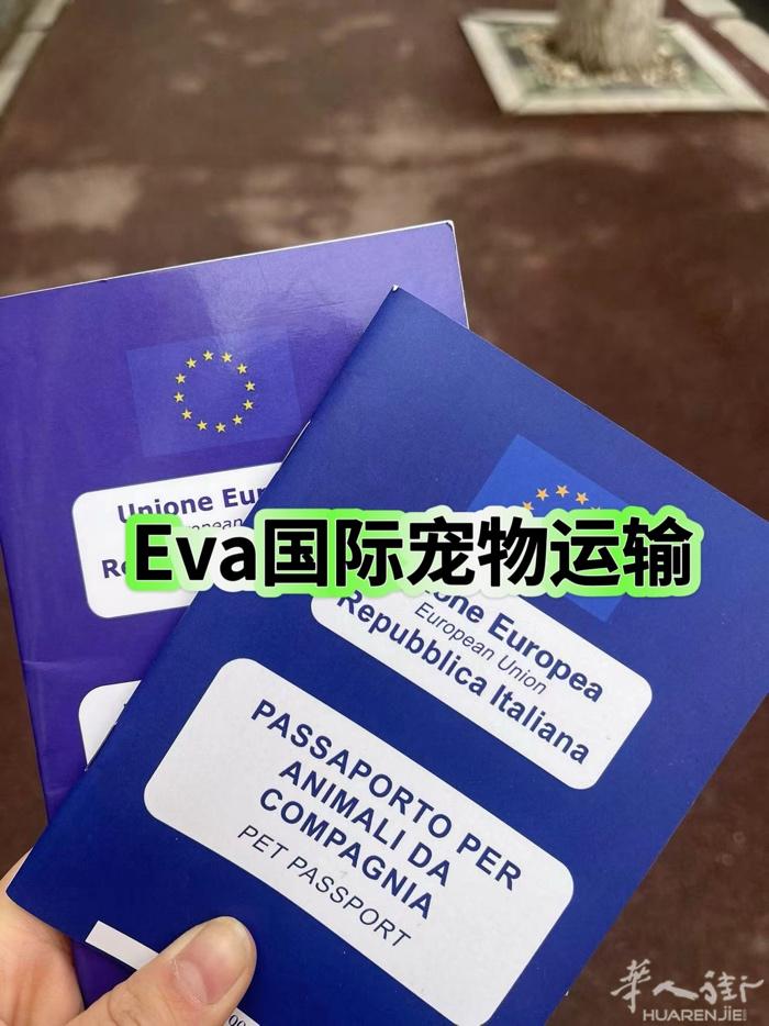 Eva国际宠物托运， 专业靠谱11年宠物运输， 带宠物回国再也不是难题， 全程一