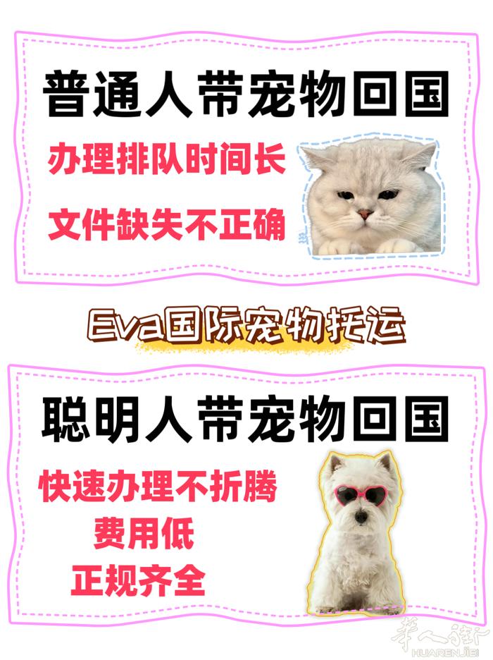 专业带宠物回国，专业靠谱。正规企业，签署✍️合同，保姆级服务，【四位数】带宠物顺