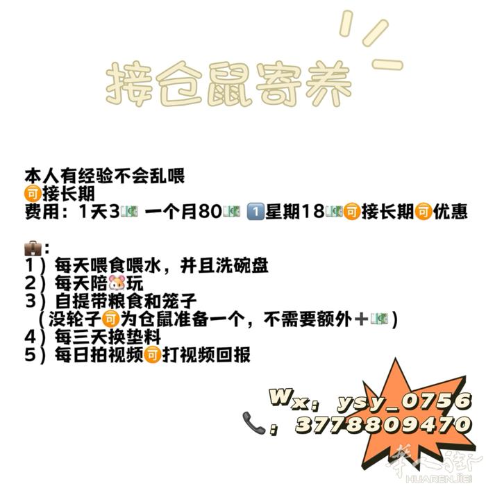 接寄养猫狗仓鼠 🉑长期🉑优惠