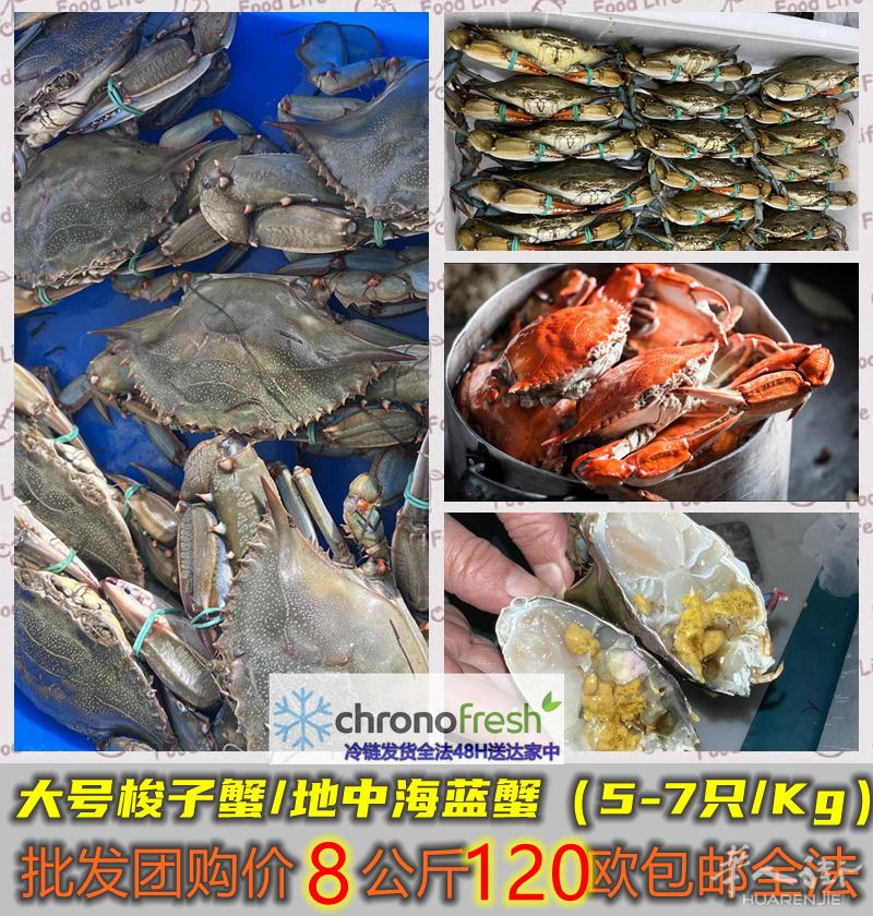 鲜活蓝蟹批发零售全法国