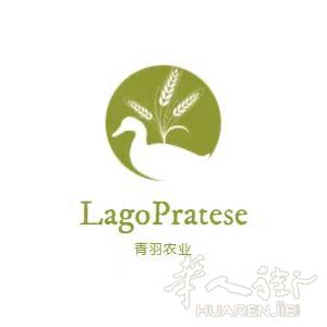 青羽农业Prato（万顺禽蛋） 意大利华人首家绿色🍃，家禽养殖，鲜肉加工厂