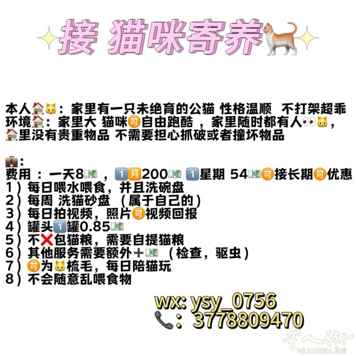 🉑接寄养 🉑长期🈶优惠哦 寄养猫，仓鼠，兔子，不接🐶狗哦 🉑接emil
