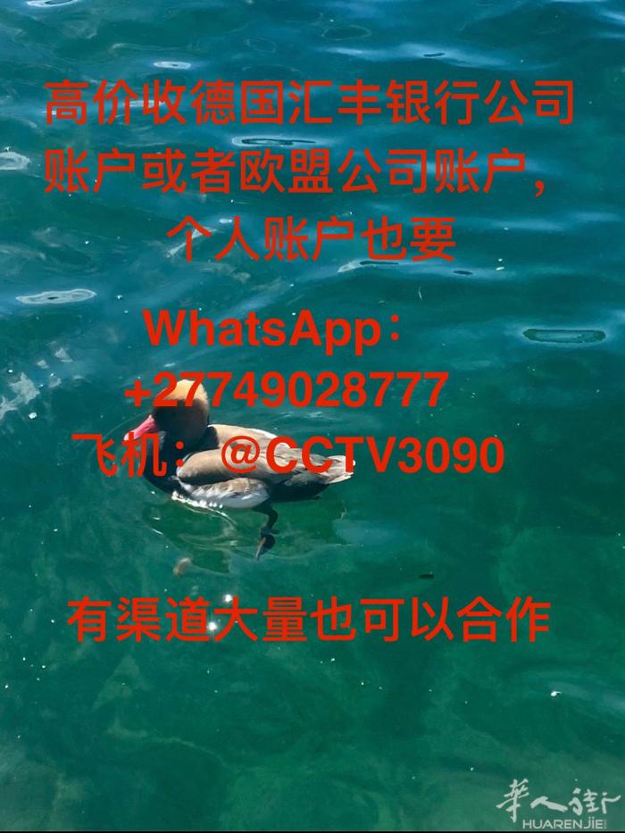 寻找合伙人