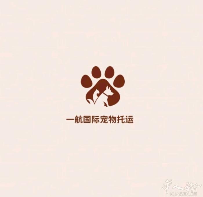 宠物直飞托运 进客舱 代办文件