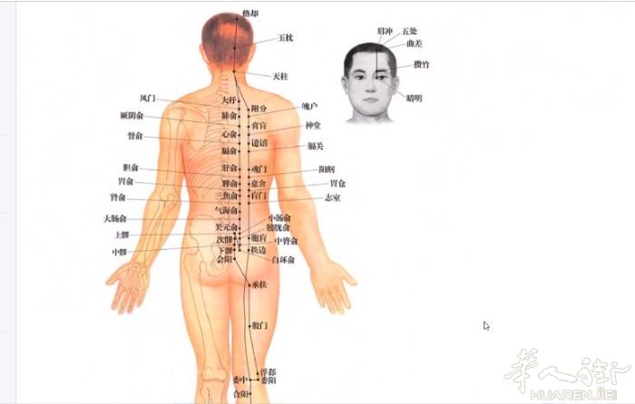 专业性和健康功效： 针对女性的手脚冰凉，妇科炎症，脾病，颈椎病，腰椎间盘突出，手