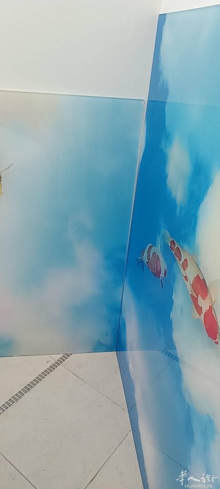 塑料花板出卖价格便宜尺寸多多联系388077729