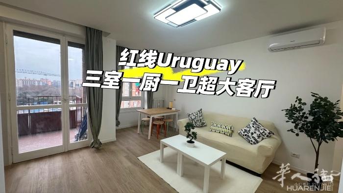 空调+全封闭小区+有门卫可以收快递，可以养小宠物！ 有视频，全新装修  【公寓户