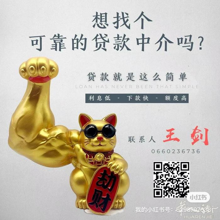 卓越贷款公司 公司的业务  - 买房贷款  - 买店贷款  - 买新