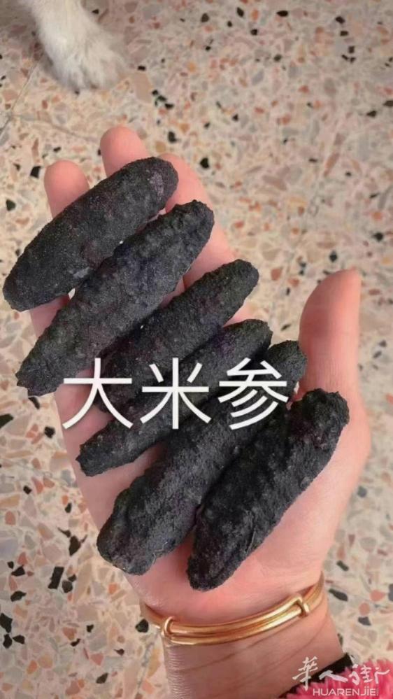 海参鲍鱼鱼胶燕窝出租车