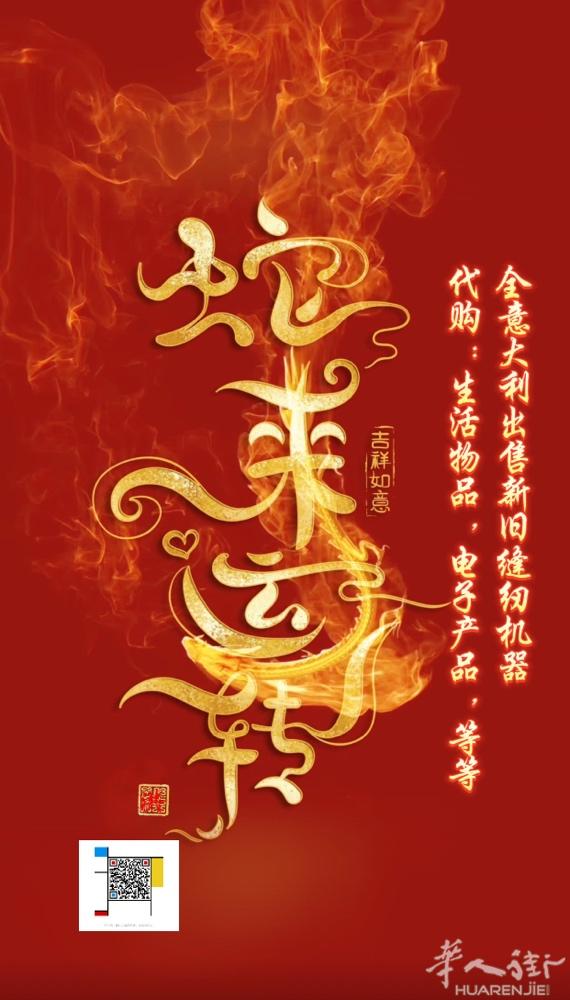 全意大利出售新旧二手缝纫制衣机器，各种生活用品，电子产品等等代购送货到家