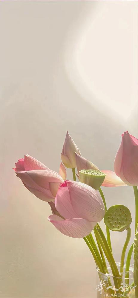 帕多瓦💕翱翔后面有一房间出租、租女生，有暖气24小时热水♨️，房间非常干净整洁