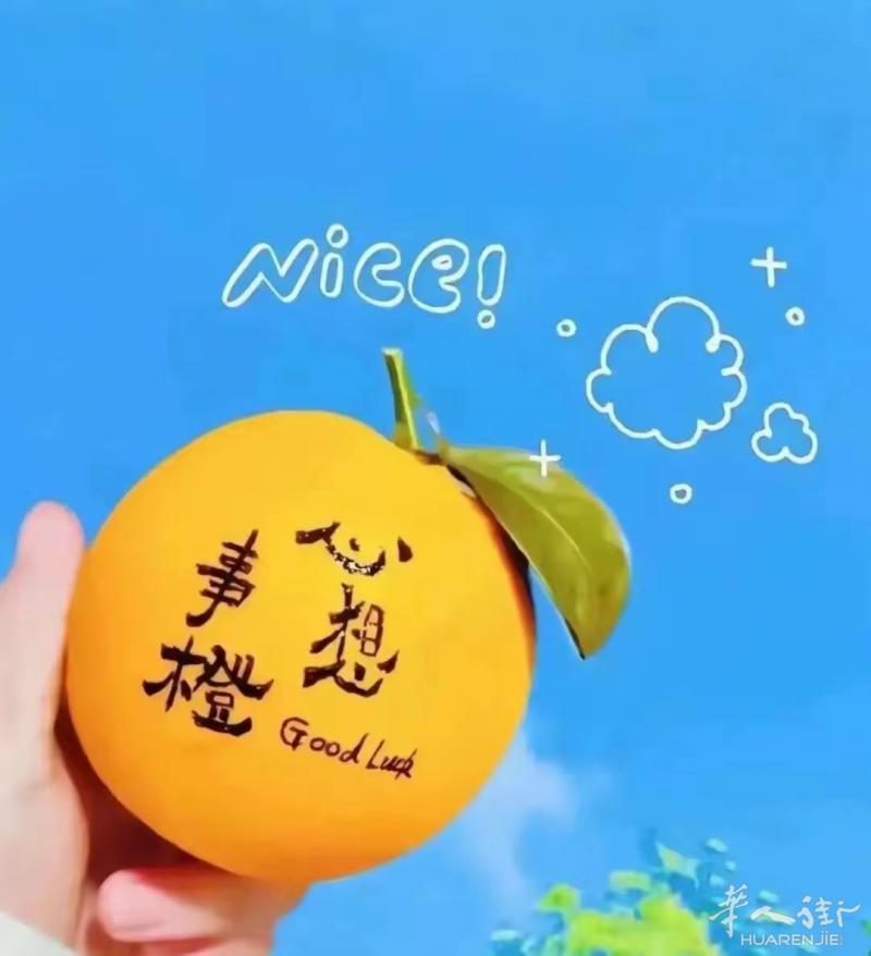 一个人想在打水公园或者老人酒吧附近租一个小房间，