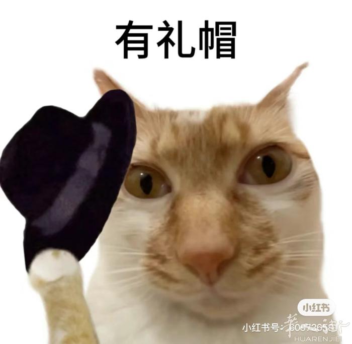 FI-prato出租车可陪同简单翻译代办无罪证明，代办医疗卡，预约大医院肠胃