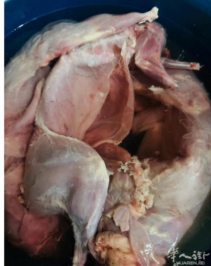 麦田野生兔肉，杀好洗干净，20欧一只，36欧两只，50欧三只