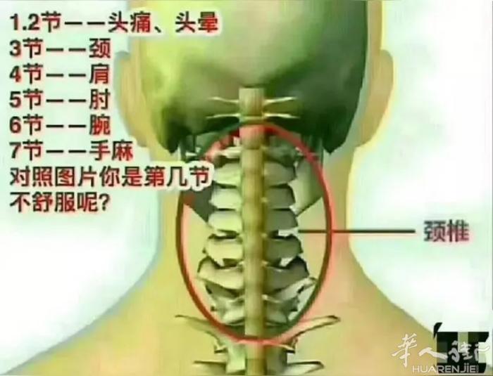 老中医：从医30多年专治各种痛疼和跌打损伤；正骨 颈椎，腰椎，肩周骨质增生压迫神