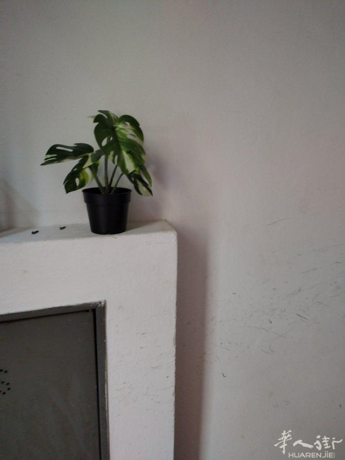 普拉托临时搭铺散铺