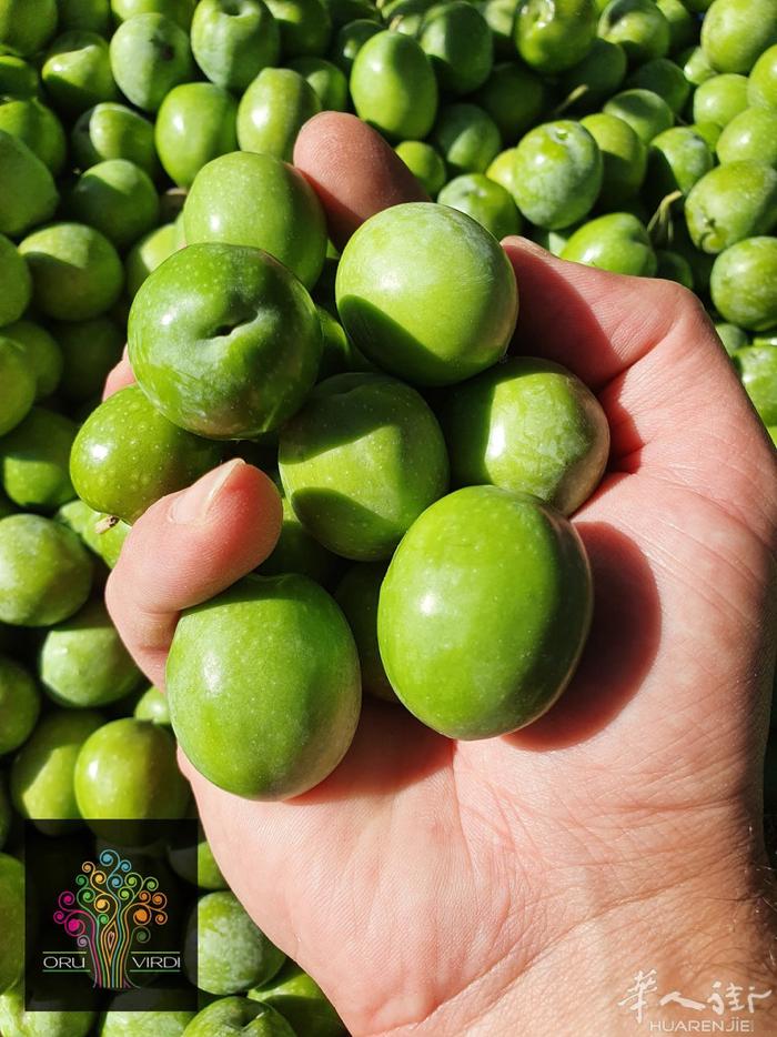 初榨橄榄油（Extra Virgin Olive Oil，简称EVOO）是从橄榄
