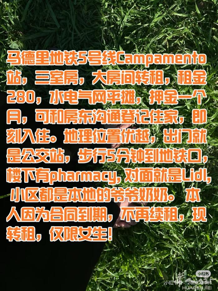 马德里5号线Campamento/ Casa de campo 现有大房间转租，