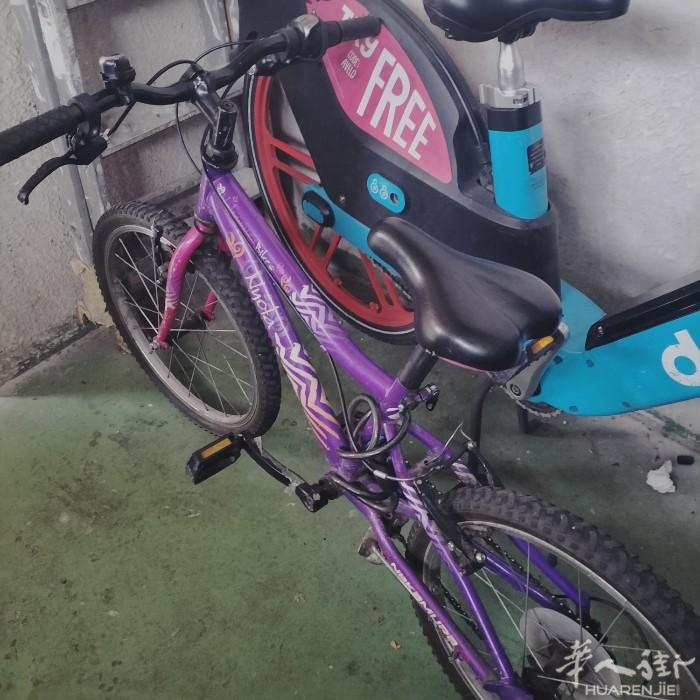 出售自行车20寸，都好用，20欧，93区，自取，意请发信息，0750956263