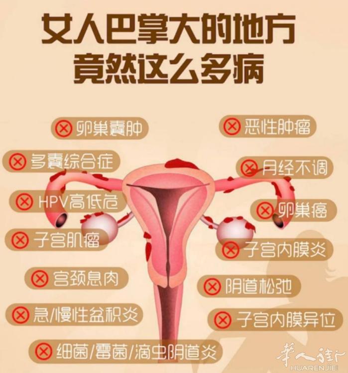【仁爱医疗中心】🎀女生一定要知道的妇科小知识，预防很关键女性健康秘籍大公开🤭