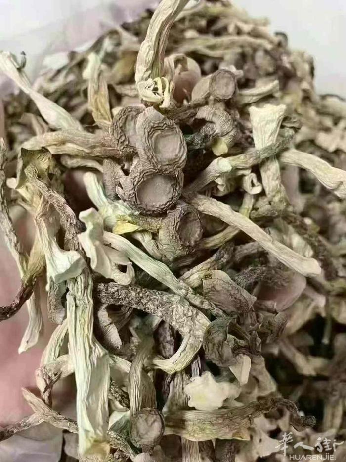 特价鹿茸菇