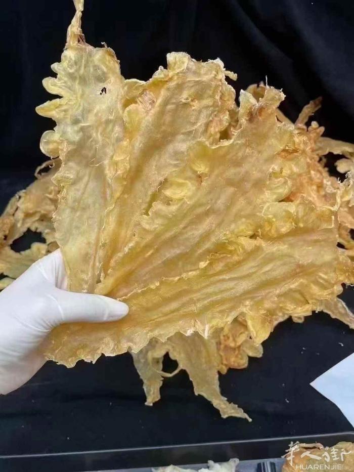 海参 鲍鱼 鱼刺 羊肚菌，各种南北干货，微信fymfbzy