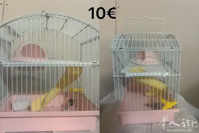 闲置的仓鼠笼