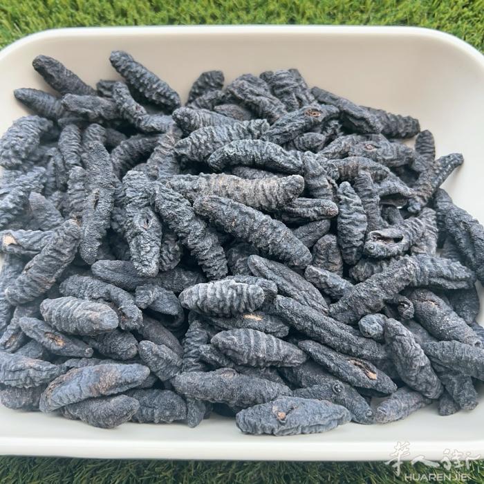 微信：634685376  🔥地中海精品小米参  🔥      山珍海味都不