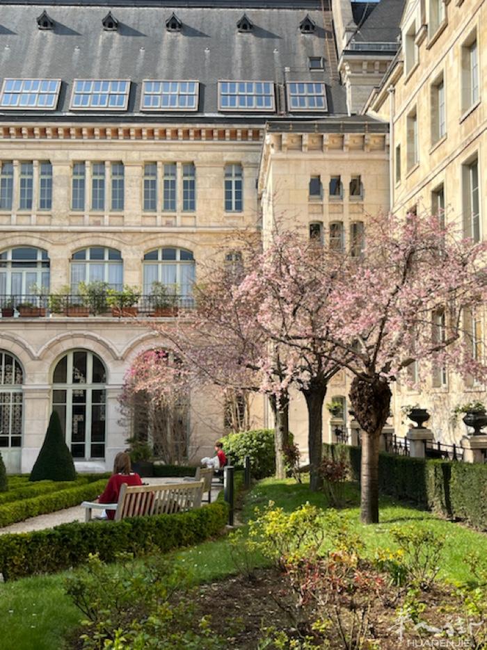家教：巴黎名校Lycée Louis-le-Grand 高三学生为高中、初中及小