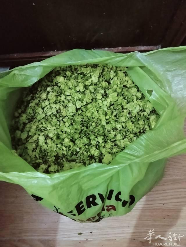 榆钱售卖，15块钱一公斤，有需要的老板联系！