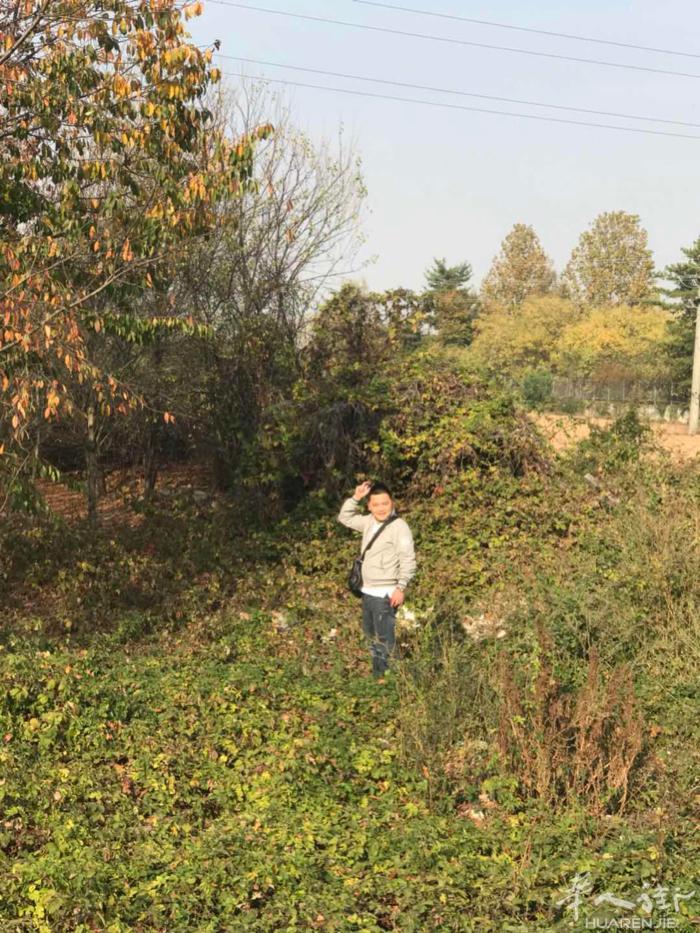 出租米兰边十亩地适合种菜有想法电话或微信联系francoxu999，菜地距离米兰