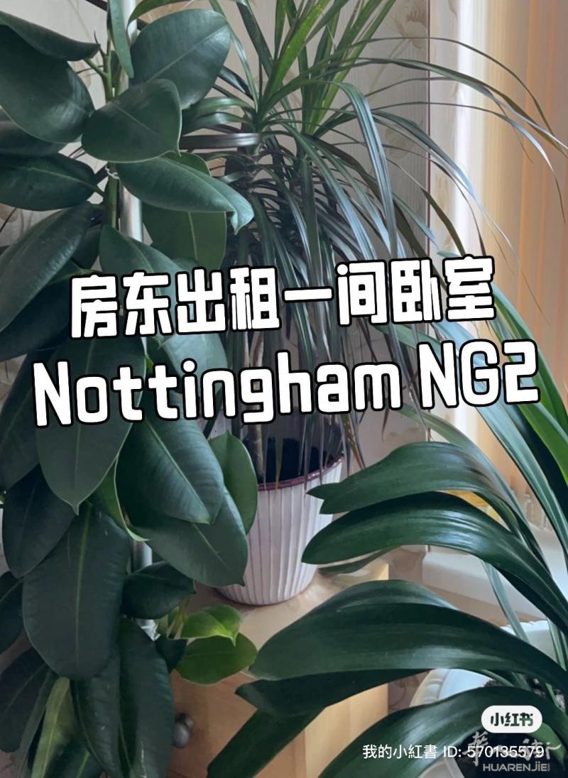 诺天汉市房东直租免中介费：丛现在开始拎包入住包傢俱