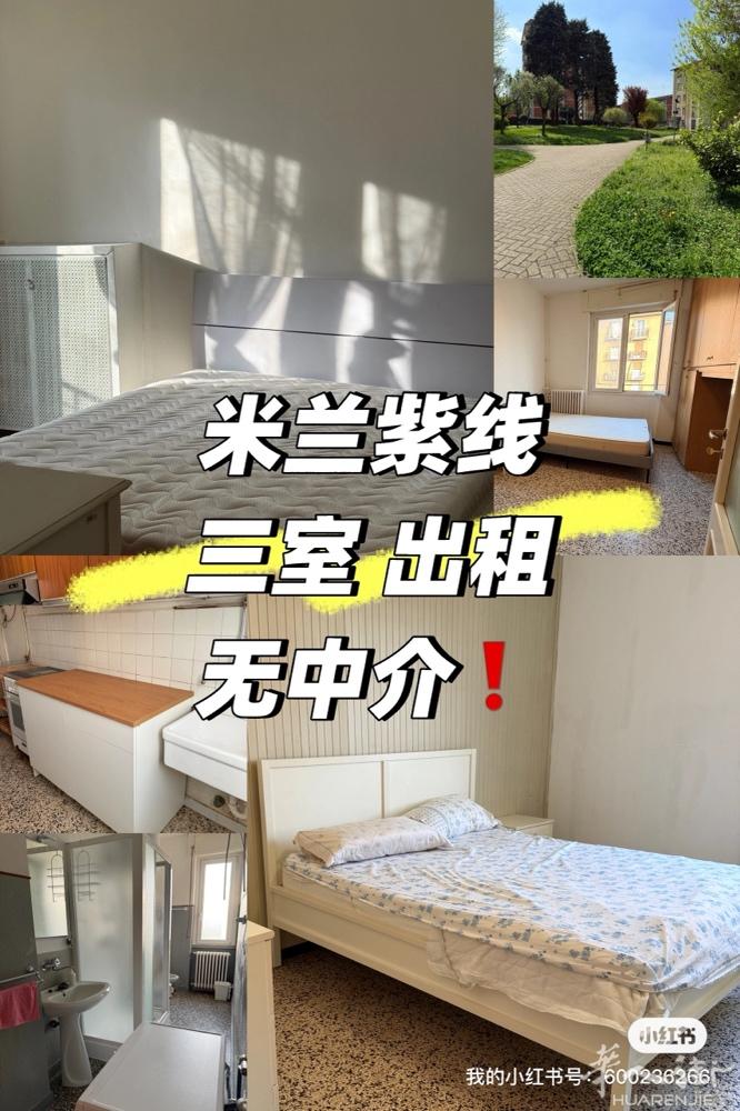 紫线Ca Granda三室出租，无中介费！