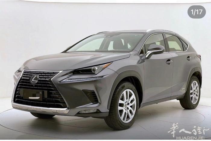 雷克萨斯NX300  （顶配） 4x4 混电动力 2.5  197马力