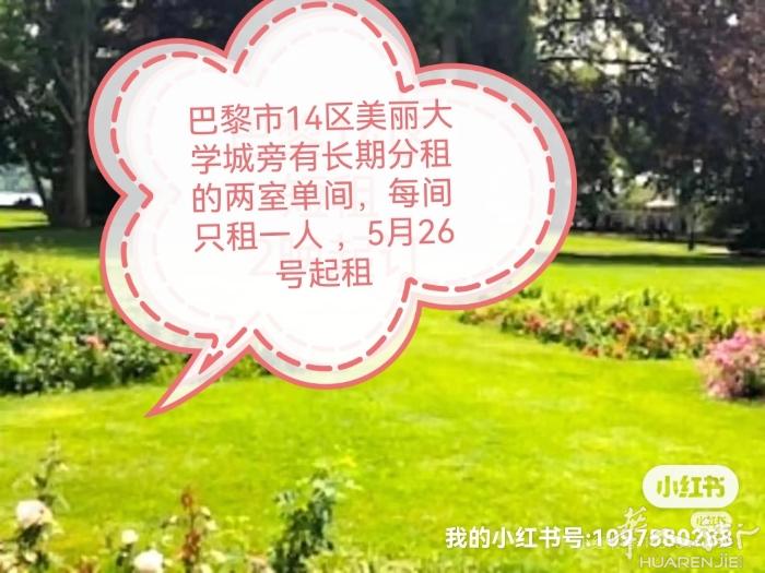 小巴黎14区 出租套房里合租房两室 5月底起租 这是一套二室一厅的公寓（两间卧室