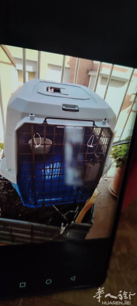 可以装狗和猫，最大号