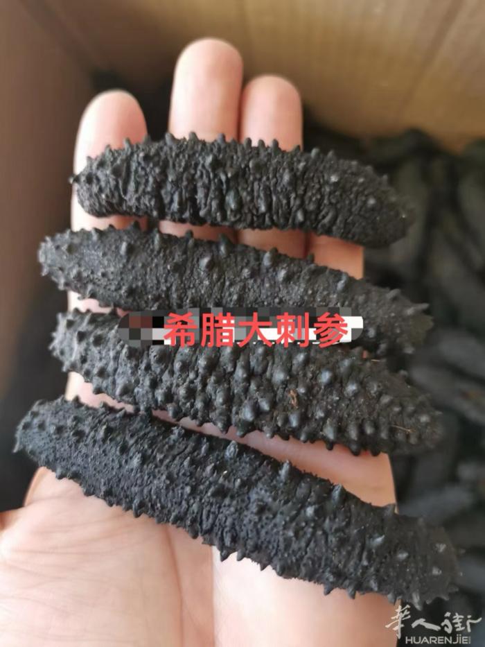 希腊野生去沙皮刺参诚招代理商 微信号；1049533347