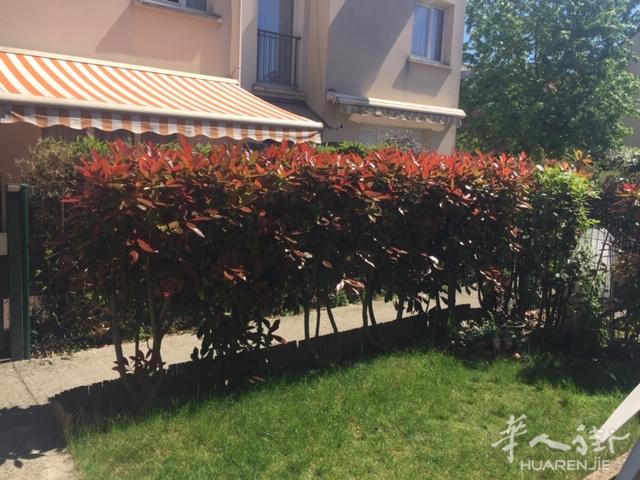 https://att.huarenjie.com/attachment/information/20250503/1746202537387580.jpg