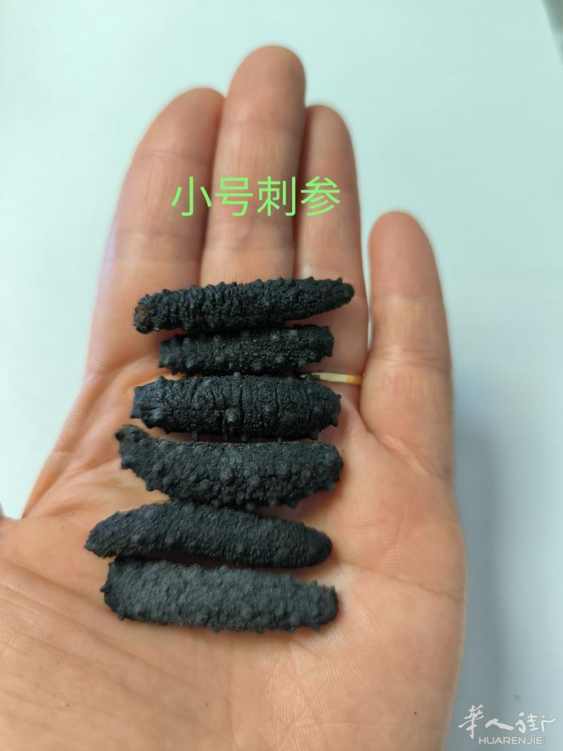 刺参现货,价格优惠