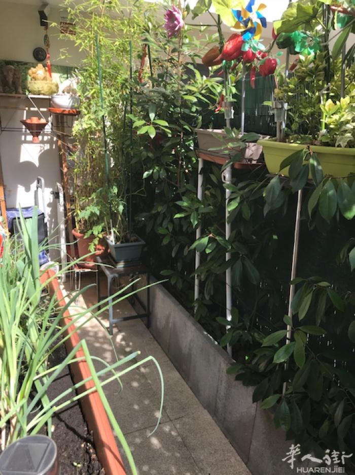 A vendre Vitry sur seine Tranway T9 Mac