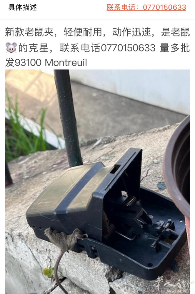 新款老鼠夹子使用方便快捷批发零售联系电话0770150633