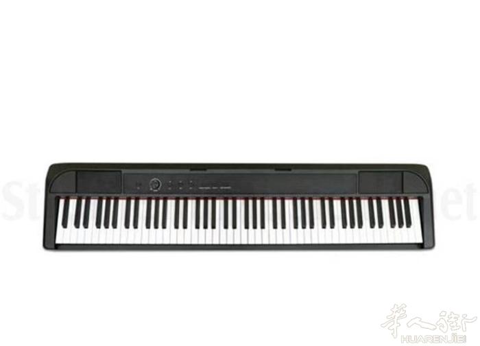 出电子琴 ECHORD Dp1 black  88键+踏板  原价350 出17