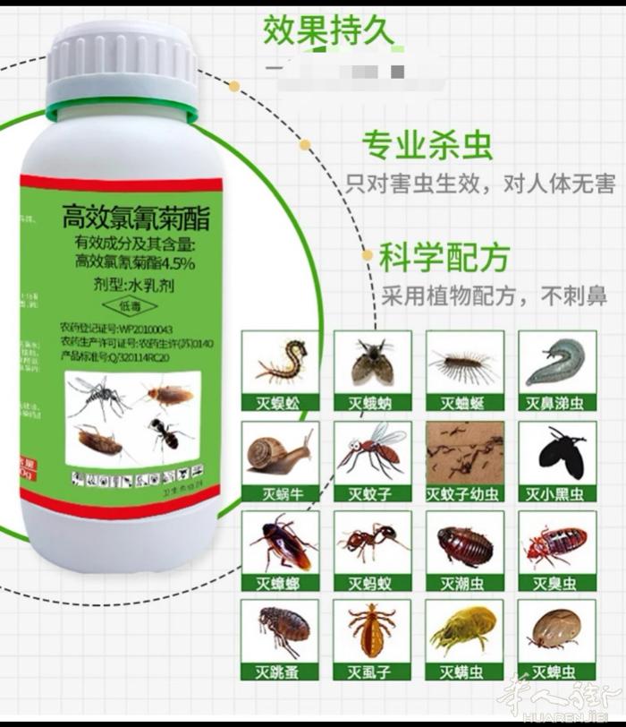 百虫全杀特效药蟑螂蚂蚁各种臭虫药水浓度超高需加1000毫升水天上飞地上爬都可使用