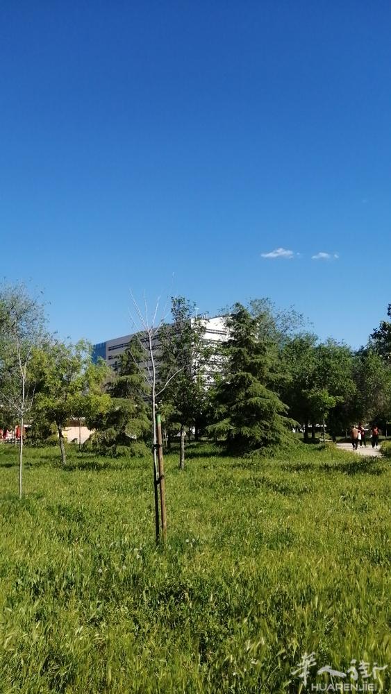 马德里租房短租日租房，Plaza Eliptica地铁口附近，需要可以微信联系: