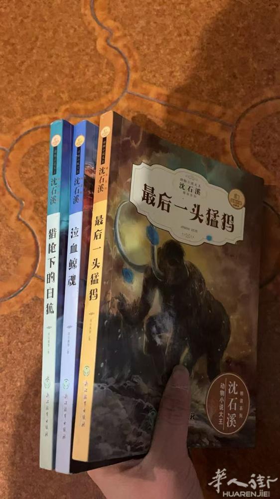 课外书闲置，系列的，10欧一套，其他5欧一本，95成新。