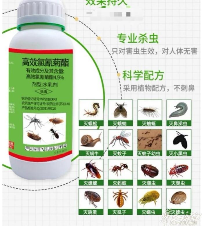 科学配方，专业杀虫，蟑螂药，蚂蚁各种臭虫药4包12€6包15€10包20€，瓶装