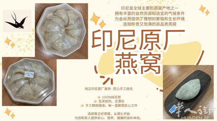 出印尼燕窝 -普拉托/佛罗伦萨    微信 cttn1231
